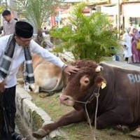 Pj Bupati Kuningan saat kurban sapi di mesjid Syiarul Islam.